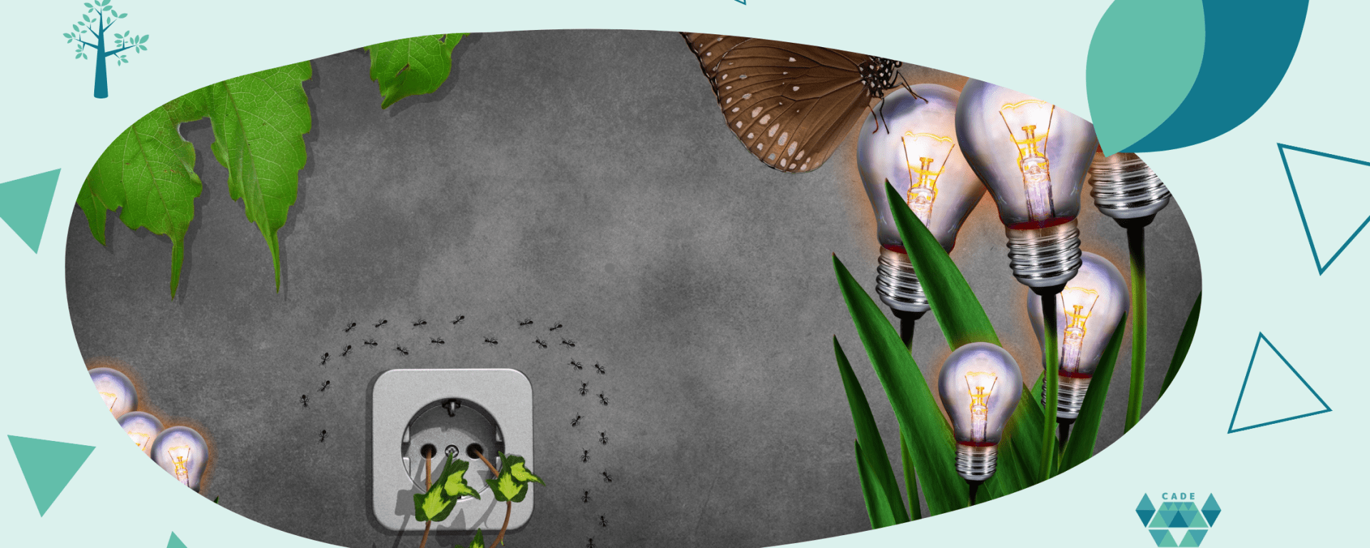 Como usar os 5R – Repensar – Recusar – Reduzir – Reutilizar – Reciclar – nas finanças.