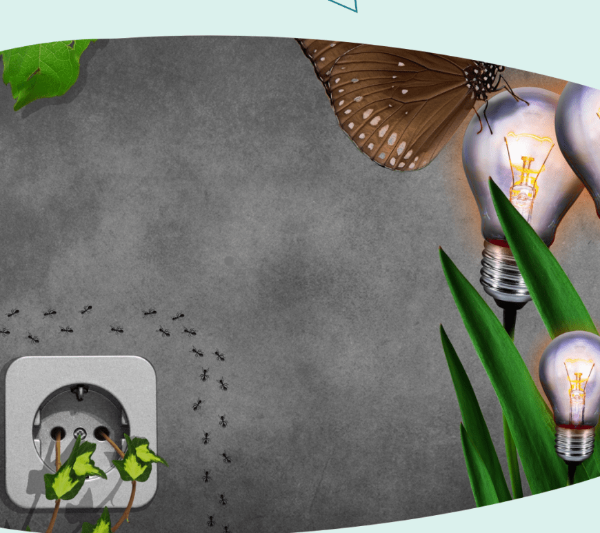 Como usar os 5R – Repensar – Recusar – Reduzir – Reutilizar – Reciclar – nas finanças.