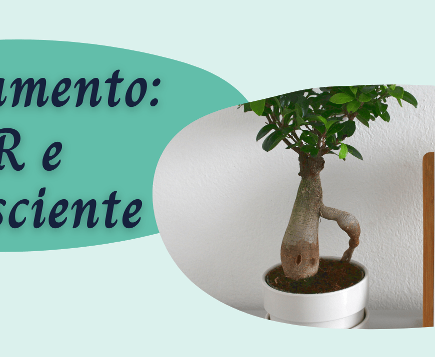 Aprenda a fazer um Orçamento Consciente usando o 5R