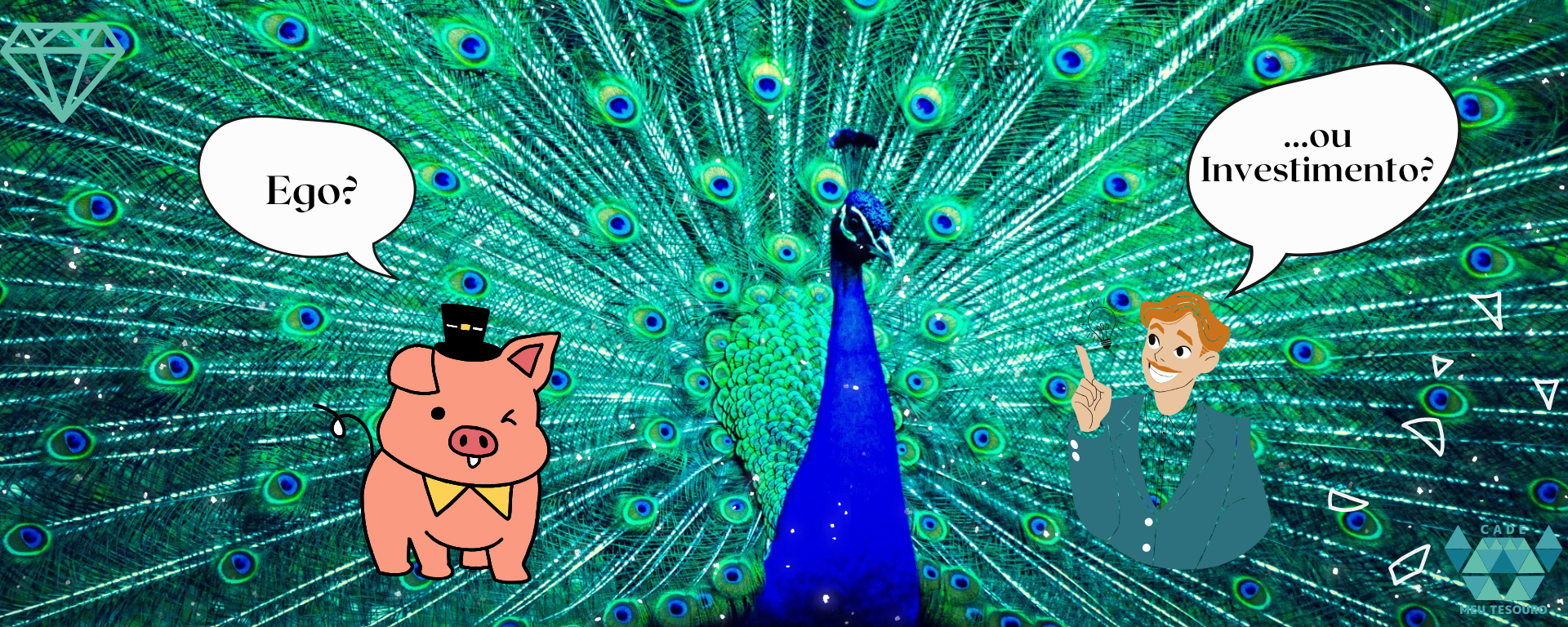 Construindo um patrimônio ou alimentando o ego Reflexões sobre investir.