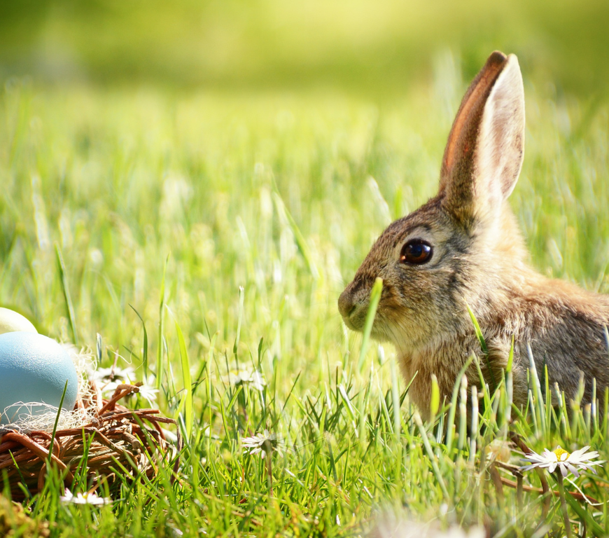 Por uma páscoa consciente e sustentável! O Planeta agradece