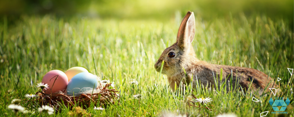 Por uma páscoa consciente e sustentável! O Planeta agradece
